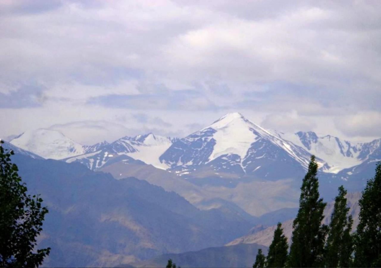 Hotel Ladakh Heaven Лех Екстериор снимка